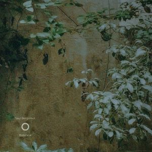 成人在线，r18免费
